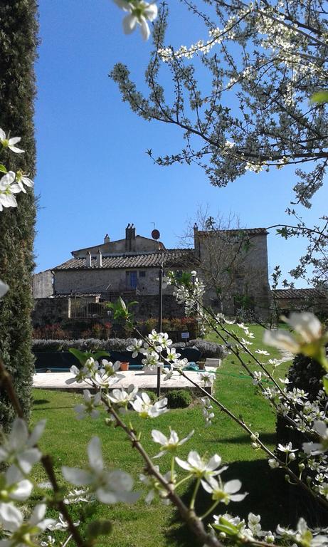 Podere La Chiusella B&B Rapolano Terme Exterior foto